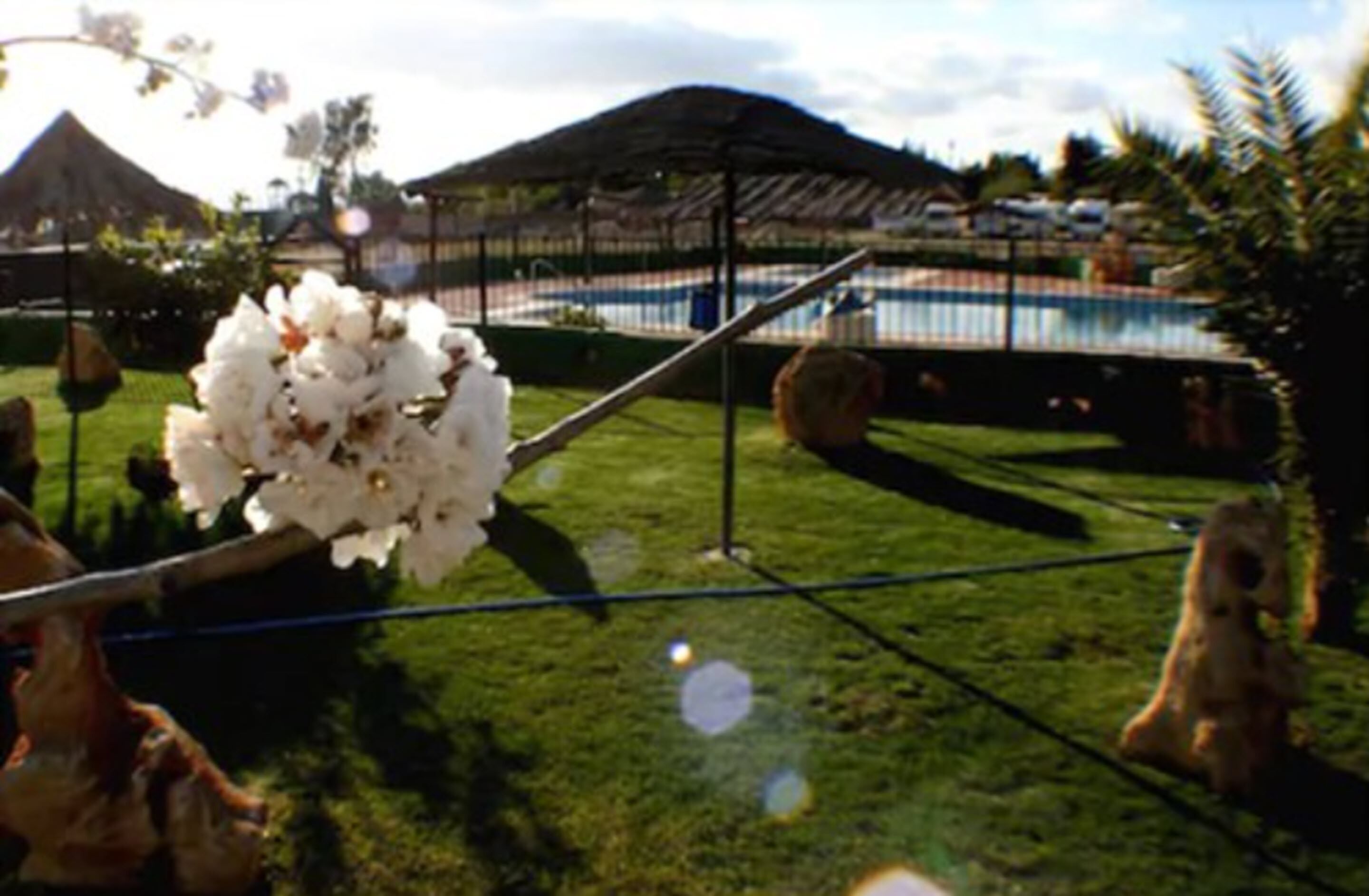 Piscine extérieure, parasols de plage, chaises longues