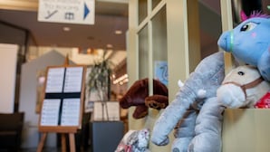 Vitrine com brinquedos macios e um quadro de menu visível ao fundo.