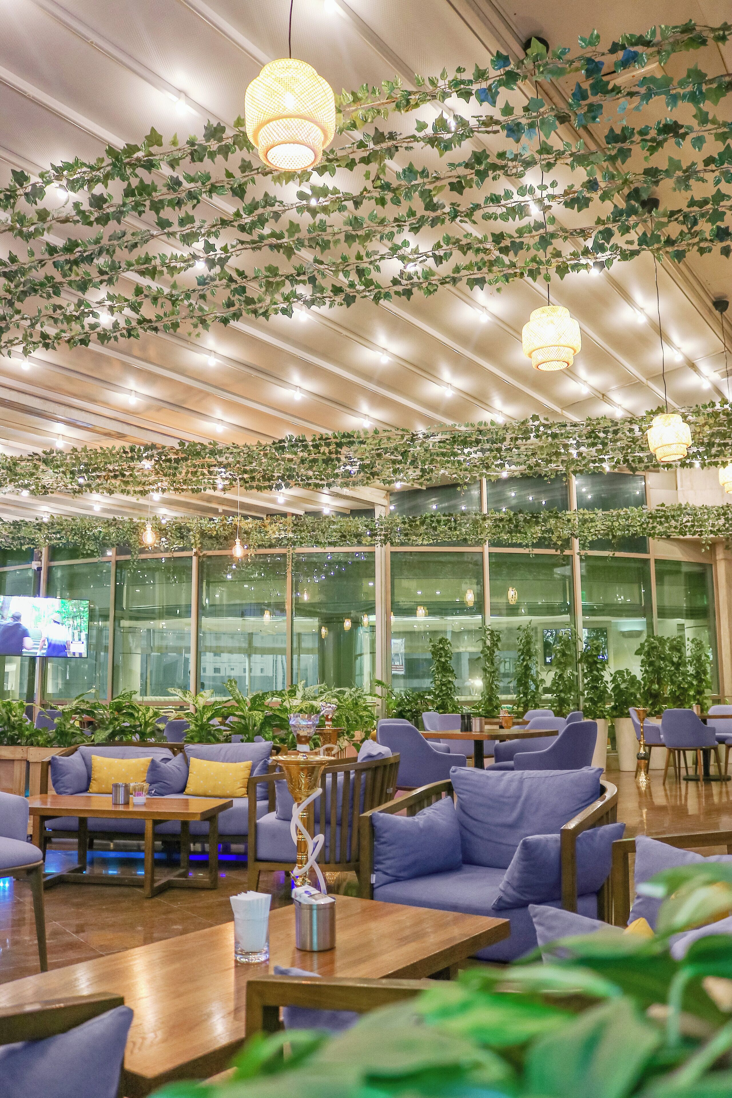 Ein Restaurant mit Holztischen und violetten Stühlen, dekoriert mit hängenden Pflanzen und Lichterketten.