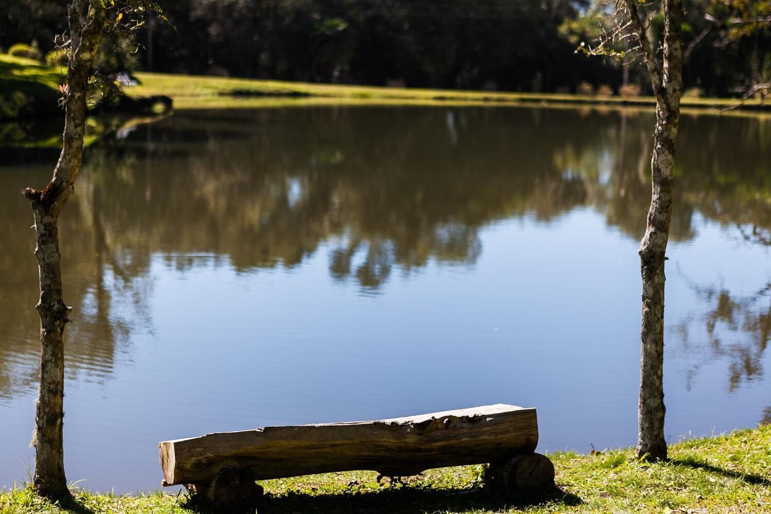 Um banco de madeira à beira de um lago tranquilo, com árvores refletidas na água.