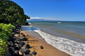 コンドミニアム 3 ベッドルーム | ビーチ | ビーチの近く