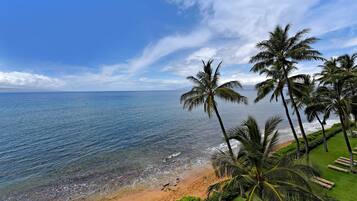 Condo, 1 Bedroom | Beach | On the beach