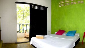 A room with a bed, a green wall, a white ceiling, and a door leading to an outdoor area. - Hostel Villa Mary (Santa Marta)