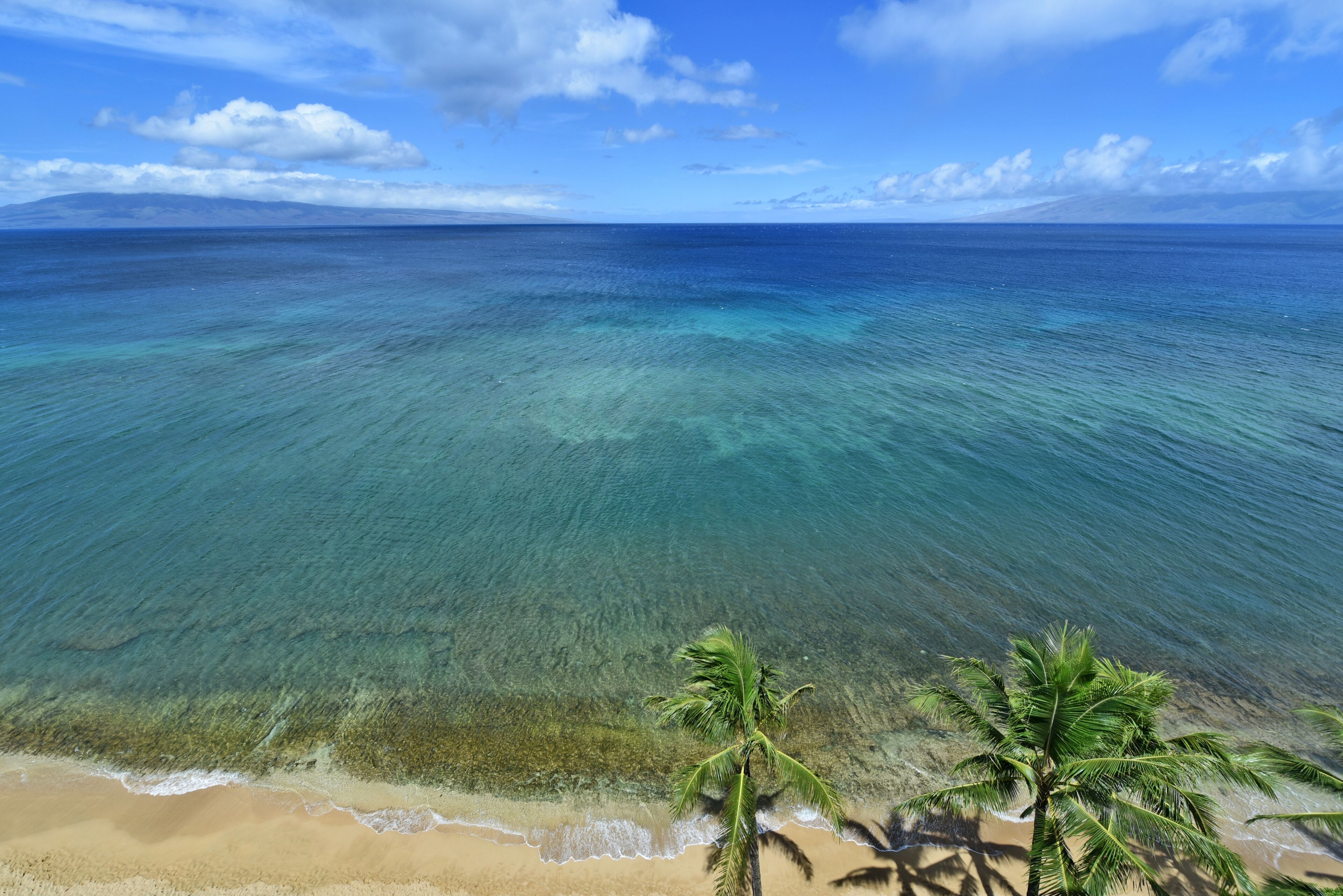 Condo, 1 Bedroom | Property grounds