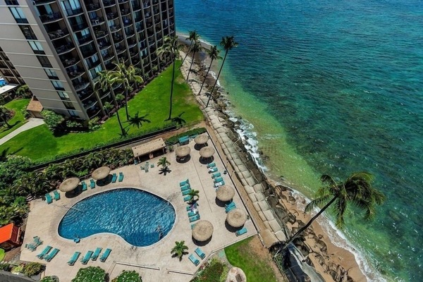 Studio | Pool | Outdoor pool