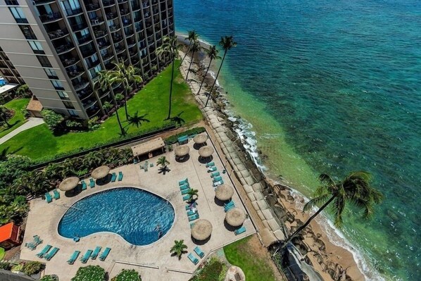 Studio | Piscine | Piscine extérieure