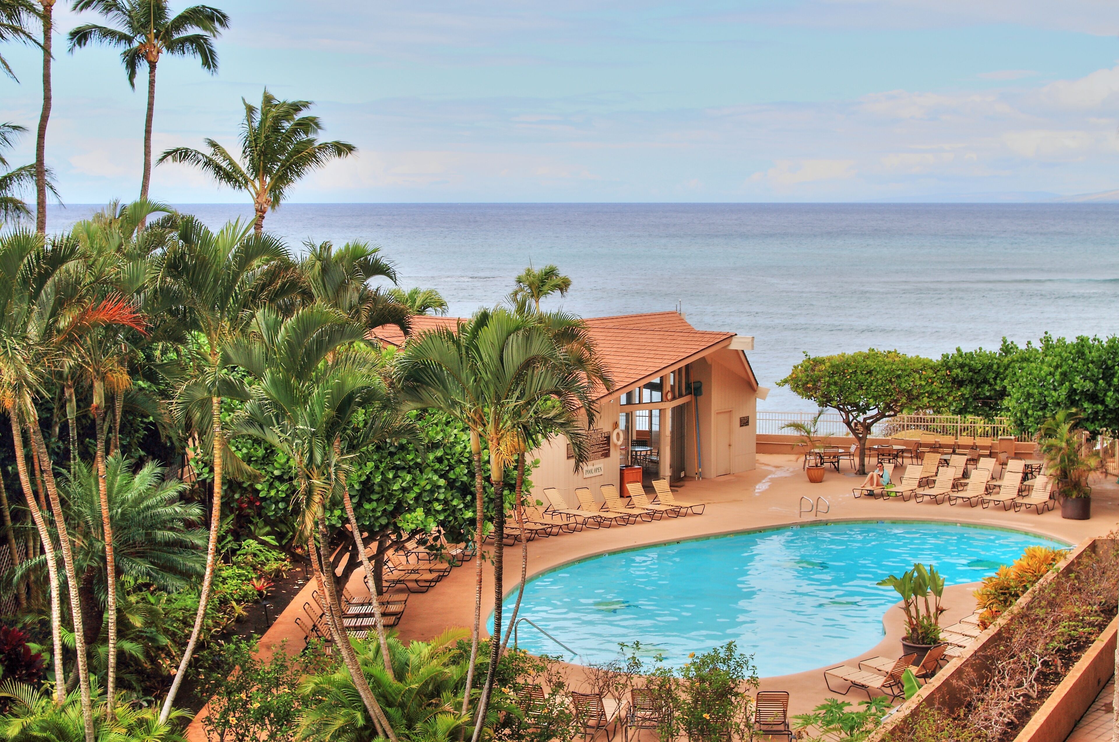 Estudio | Alberca | Alberca al aire libre 