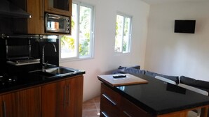 One Bedroom Apartment, Beach View (Playa)