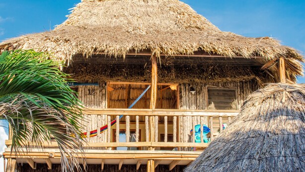 A thatched-roof building with a wooden balcony and a palm tree in the foreground.