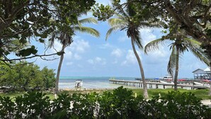 A beach view with palm trees, a pier, and a boat dock.
