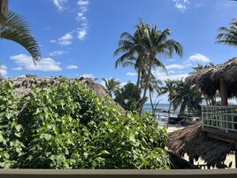 Palms Veranda - Double Unit #8 | View from room