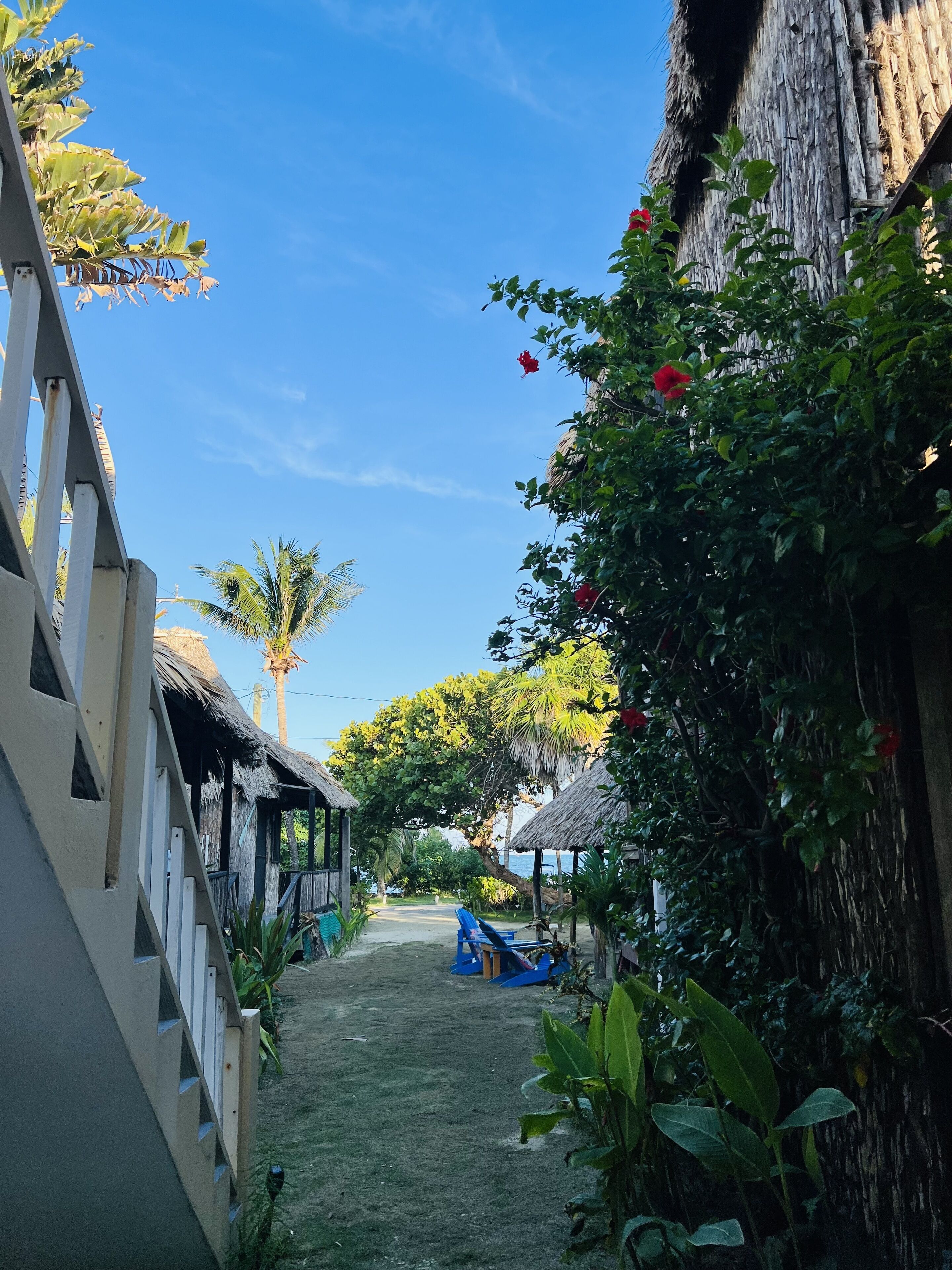 A pathway leading to a thatched-roof structure with a slide, surrounded by lush greenery and palm trees.