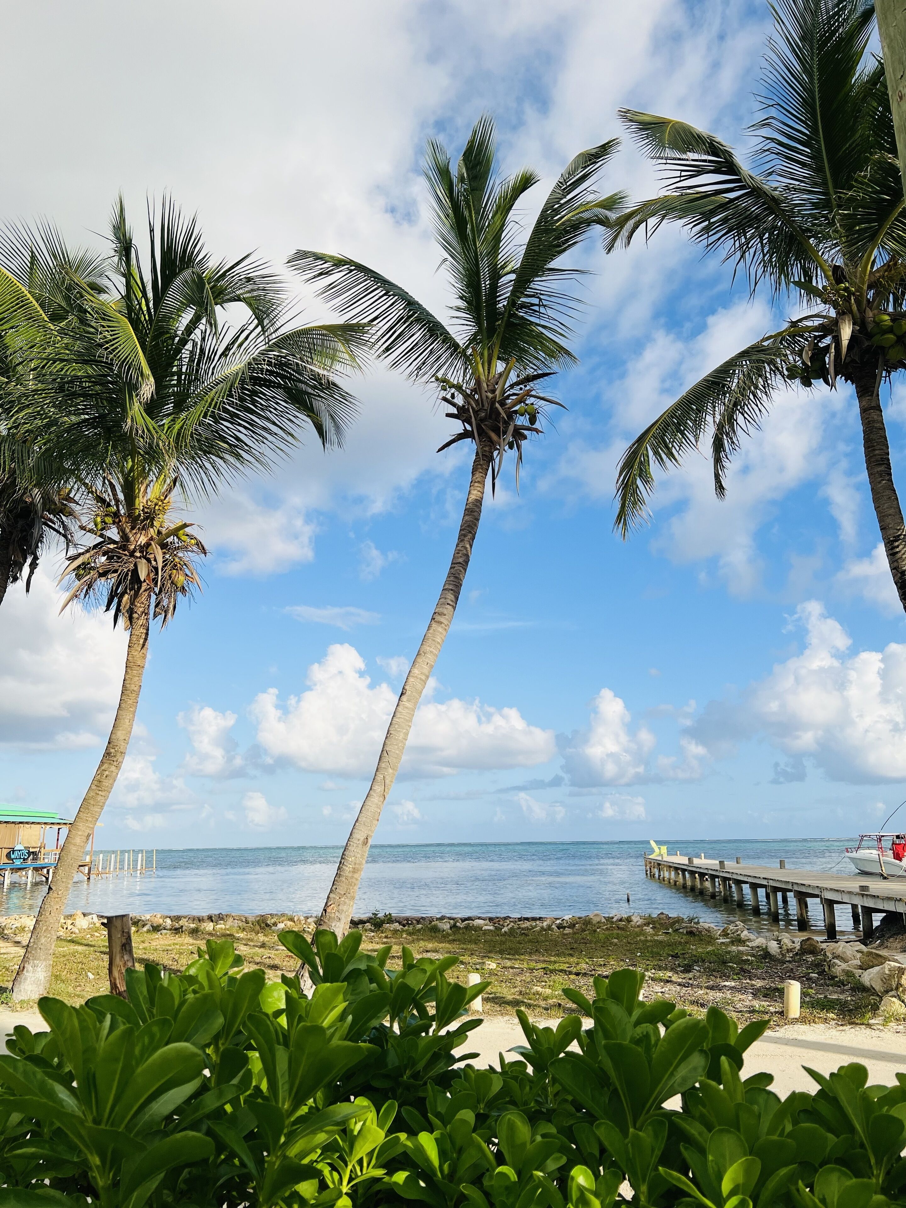 on the beach, white sand, sun-loungers, beach towels