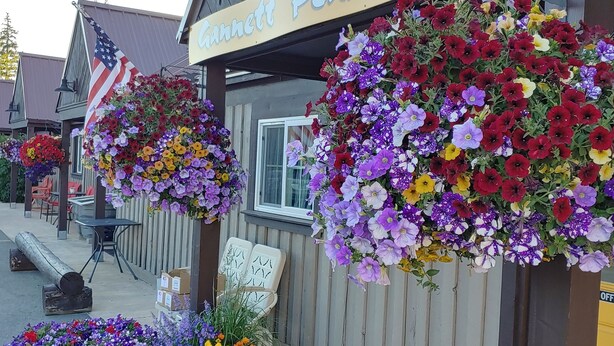 A hotel named "Hannett Peak Lodge" with a neon sign indicating vacancy. There are flower arrangements and an American flag visible. - Gannett Peak Lodge (Pinedale)