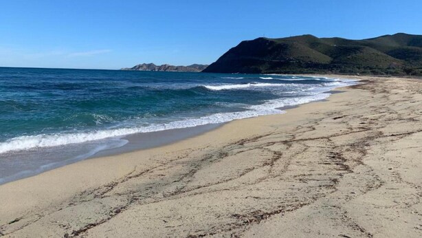Una playa con agua azul cristalina, orilla arenosa y colinas verdes al fondo.