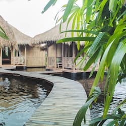 Bồn tắm thủy lực, trị liệu toàn thân, massage đá nóng, tẩy tế bào chết