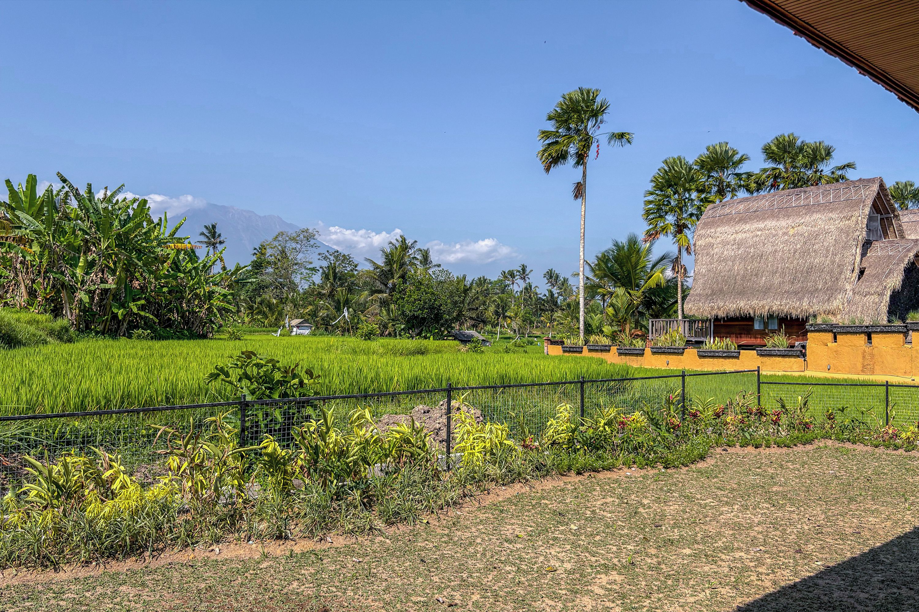 A rural landscape with a thatched-roof building, a fenced field, and a mountain in the background.