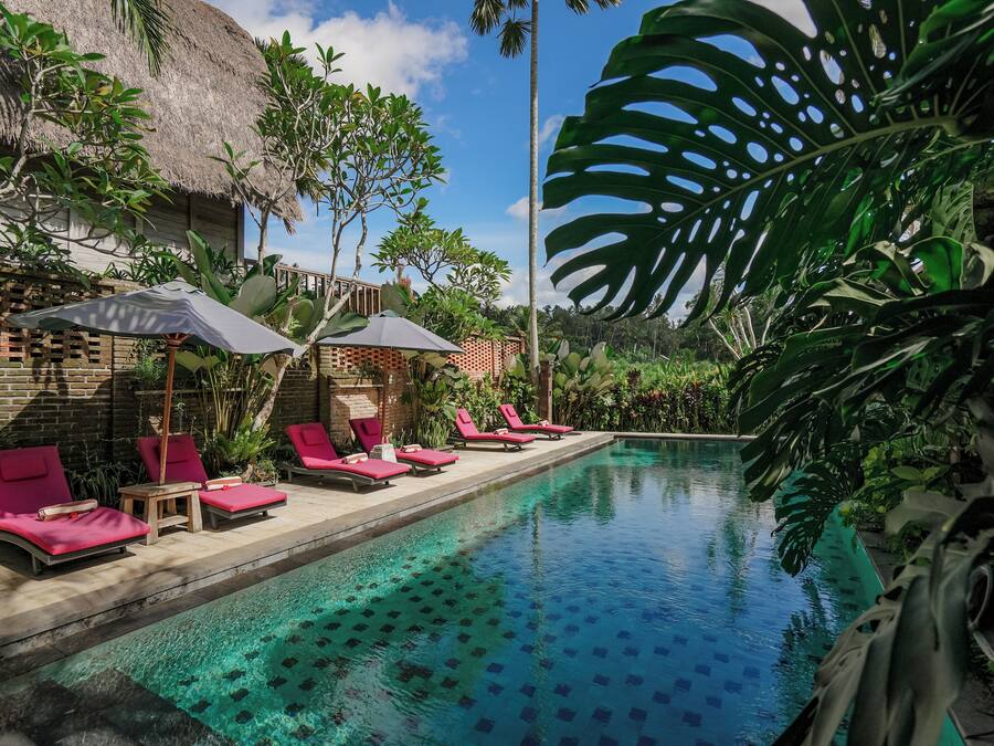 A poolside area with lounge chairs and umbrellas, surrounded by tropical plants and a clear blue pool.