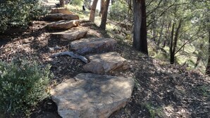 A forested hiking trail with stone steps. - Down to Earth Farm Retreat (Sarsfield)