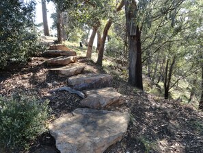 Property grounds - Down to Earth Farm Retreat (Sarsfield)