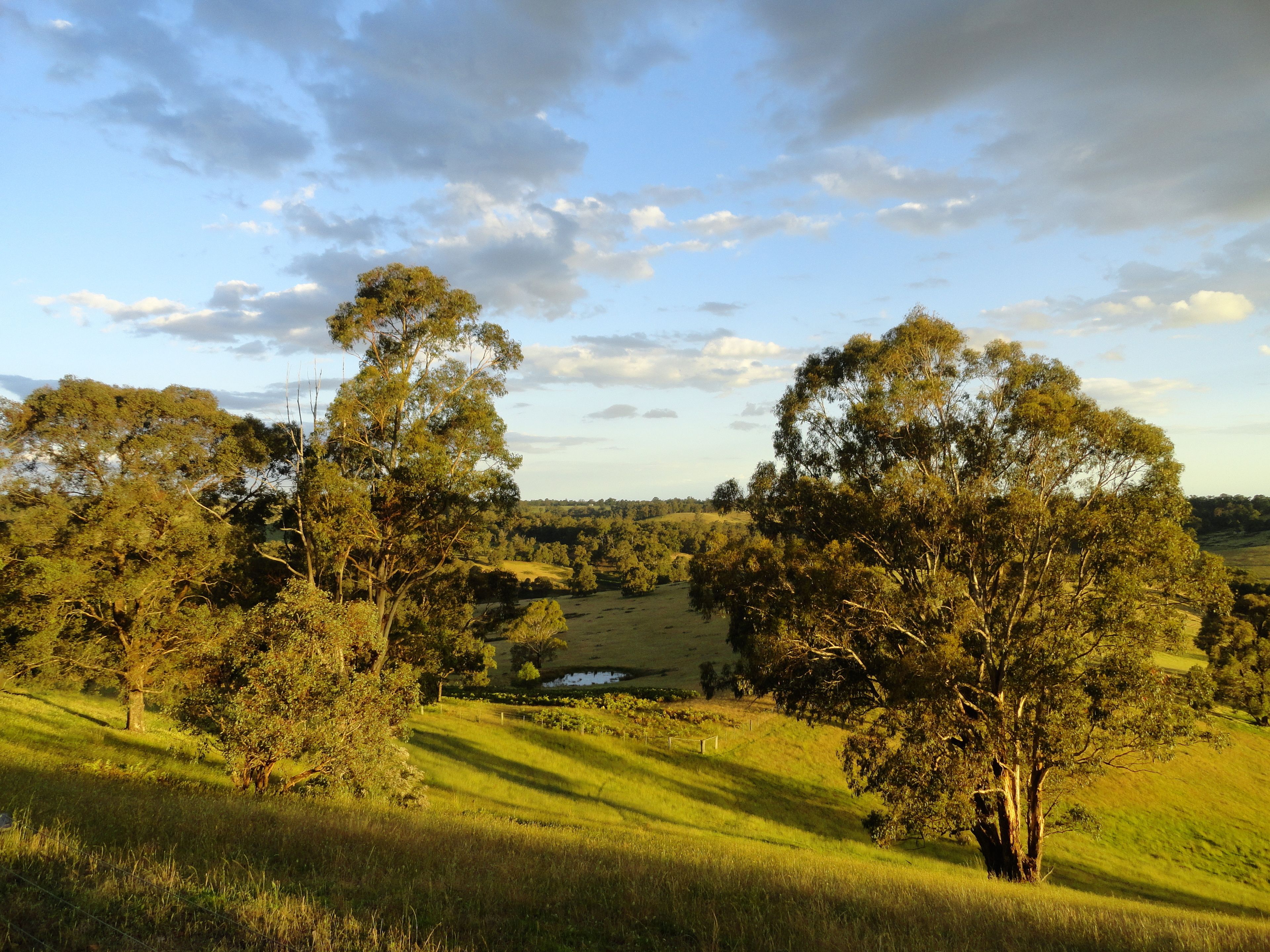 A rural landscape with rolling hills, trees, and a small body of water.