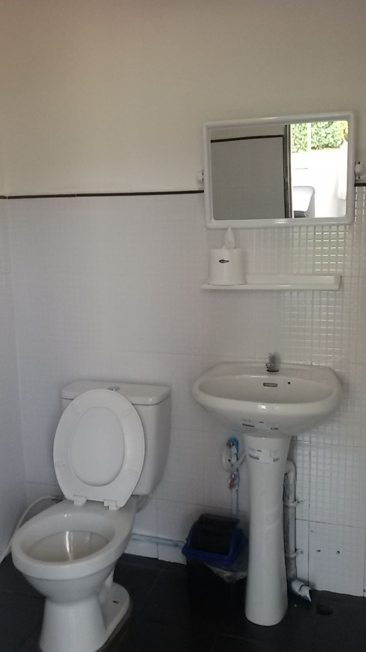 Ein Badezimmer mit Toilette, Waschbecken und Spiegel.