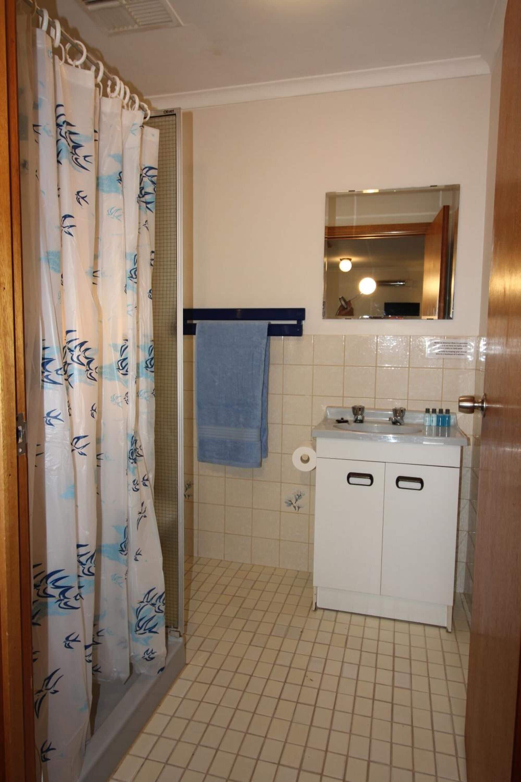 shower, free toiletries, hair dryer, towels