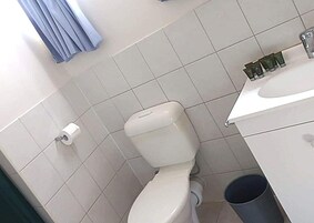 Cabaña familiar, 2 habitaciones (1 Queen and 3 Single Beds) | Baño | Ducha, artículos de higiene personal gratuitos y secador de pelo