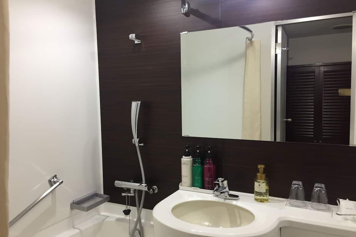 combined shower/bathtub, free toiletries, hair dryer, slippers