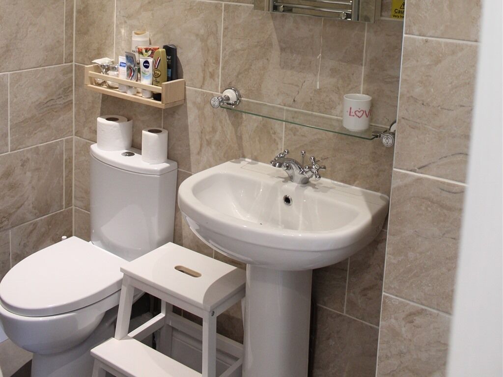 A bathroom with a toilet, sink, and a shelf with toiletries.