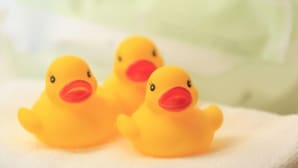 Trois canards en caoutchouc sur une surface blanche.