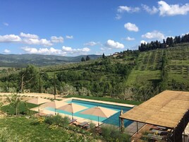 Una piscina al aire libre, sombrillas, sillones reclinables de piscina