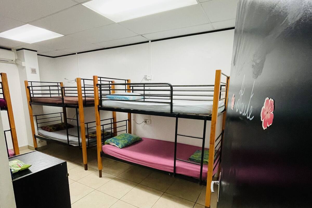 共同ドミトリー 女性限定 (Bed in 6-bed Female Only Dorm) | WiFi (無料)、ベッドシーツ