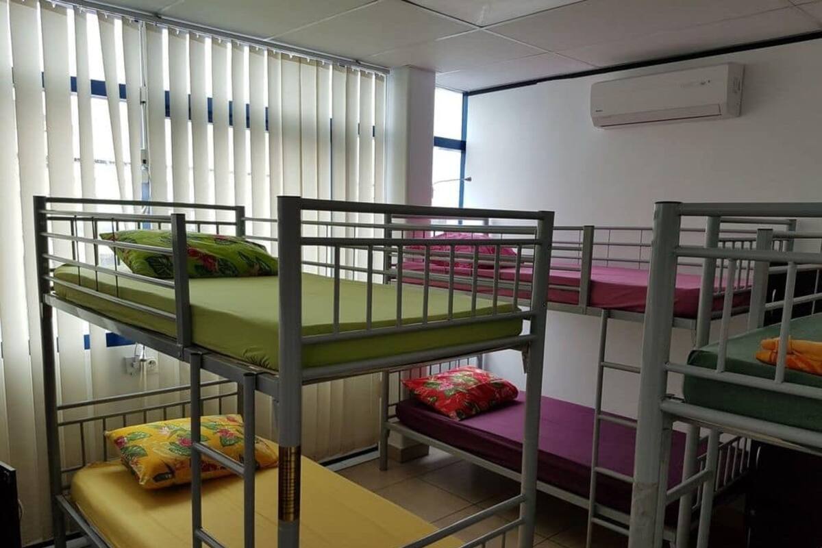 共同ドミトリー 男女共用ドミトリー (Bed in 12-bed Mixed Dorm) | WiFi (無料)、ベッドシーツ