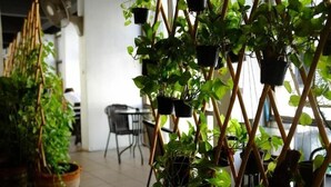 Property grounds - The Mixx Hostel (Bangkok)