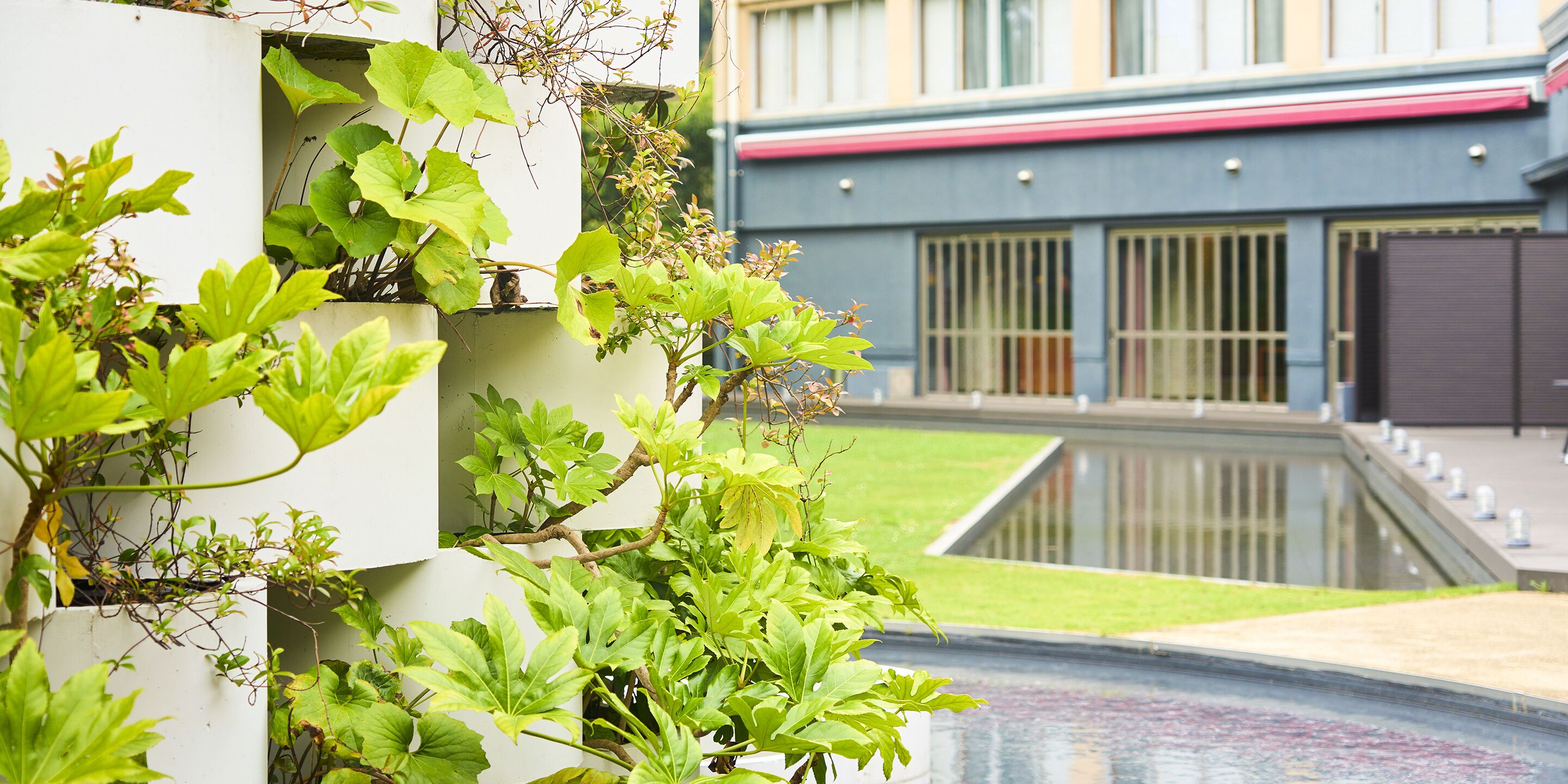A courtyard with a water feature, lush greenery, and a building with barred windows.