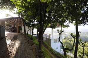 Jardí