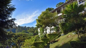 A lush garden with neatly trimmed hedges and a variety of trees, leading to a building with a white facade and a wooden balcony. - Villa Perpetua (Bandarawela)