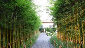 A cobblestone pathway flanked by bamboo groves leading to a building with a tiled roof. - Zen Villa Khao Yai (Pak Chong)