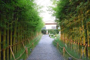 Garden - Zen Villa Khao Yai (Pak Chong)