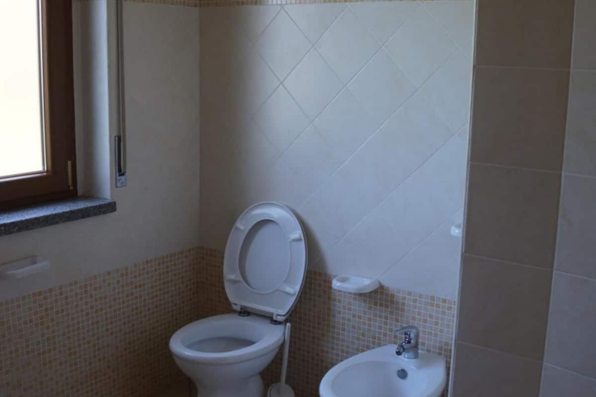 shower, free toiletries, hair dryer, bidet