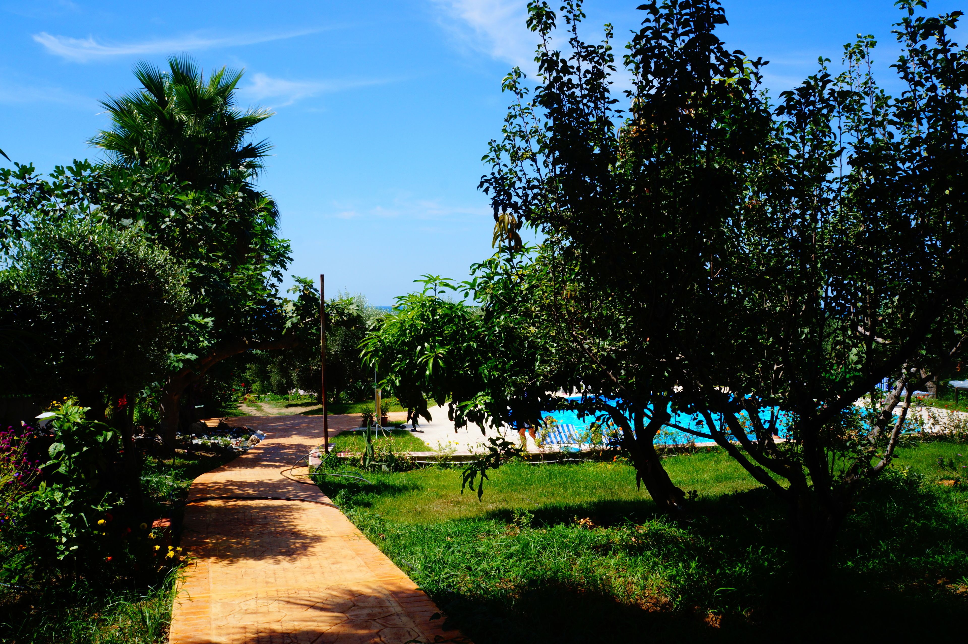 Piscine extérieure (ouverte en saison), parasols de plage