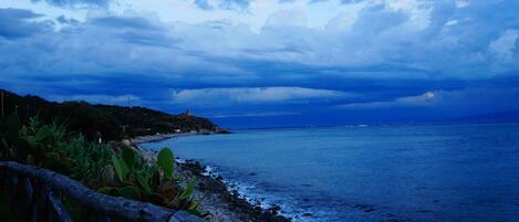A coastal landscape with a rocky shoreline, vegetation, and a distant view of the sea under a cloudy sky.
