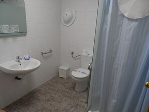 Une salle de bain avec un lavabo, des toilettes et une douche.
