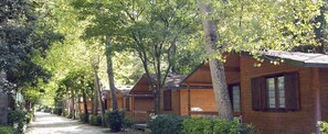 Exterior - Bosco Verde Camping (Viareggio)