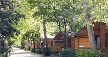 Bosco Verde Camping