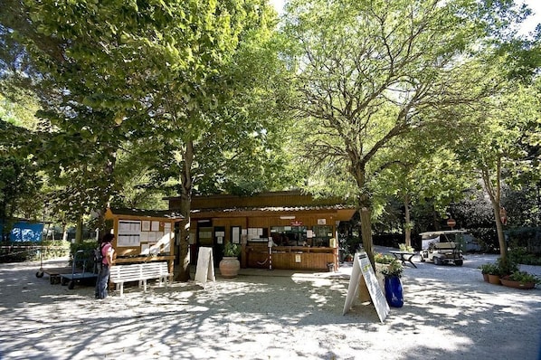 Check-in/check-out kiosk