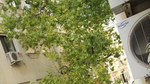 A courtyard with a green table and chairs, a tree, and a building with an air conditioning unit. - Hostal Andalucía (Almunecar)
