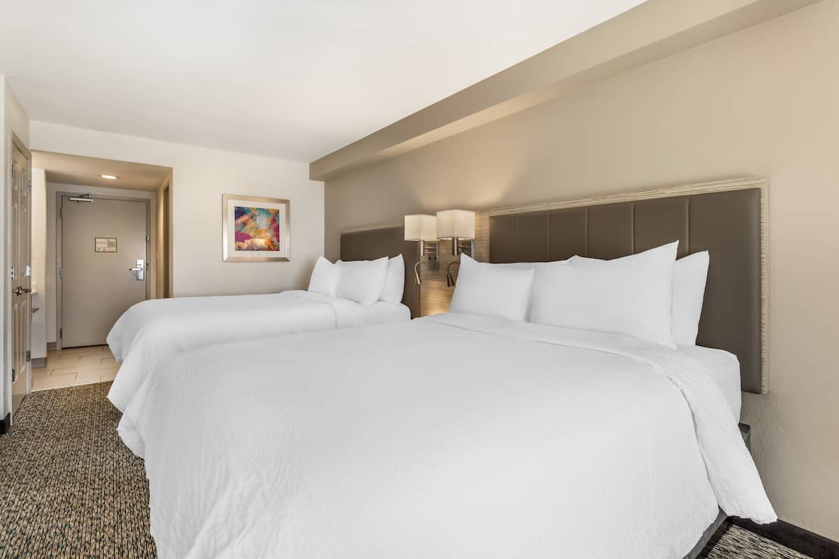 Premium bedding, desk, iron/ironing board, free cribs/infant beds