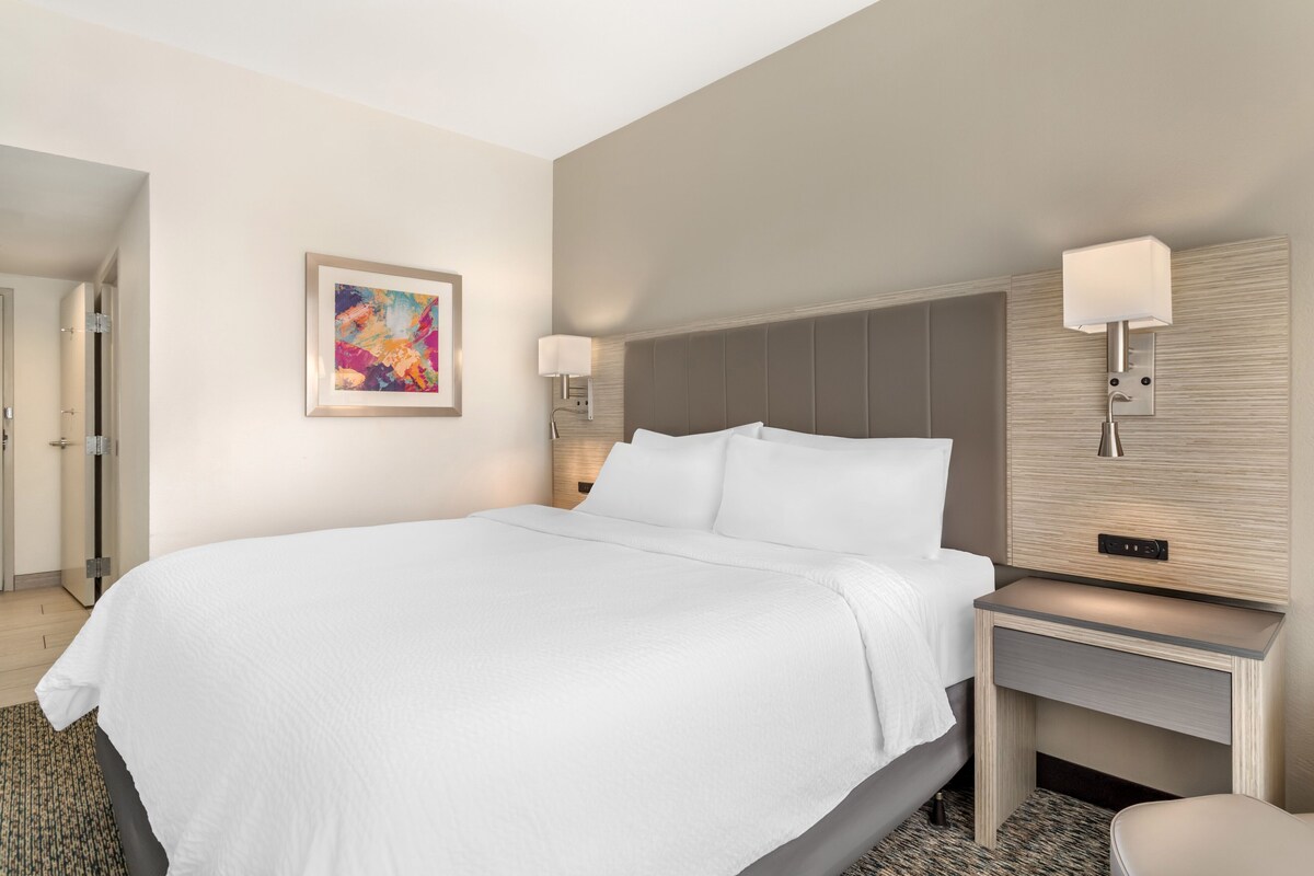 A hotel room with a large bed, a bedside table, a nightstand, a wall-mounted lamp, and a framed picture on the wall.